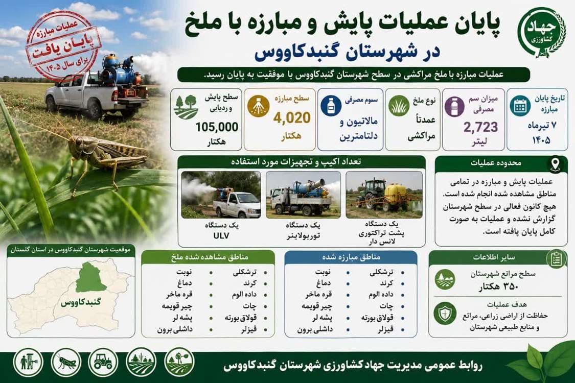 پایان عملیات مبارزه با ملخ در گنبد کاووس 